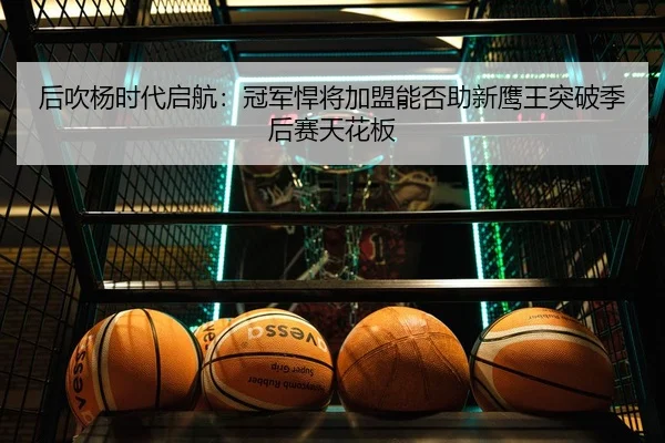 后吹杨时代启航：冠军悍将加盟能否助新鹰王突破季后赛天花板